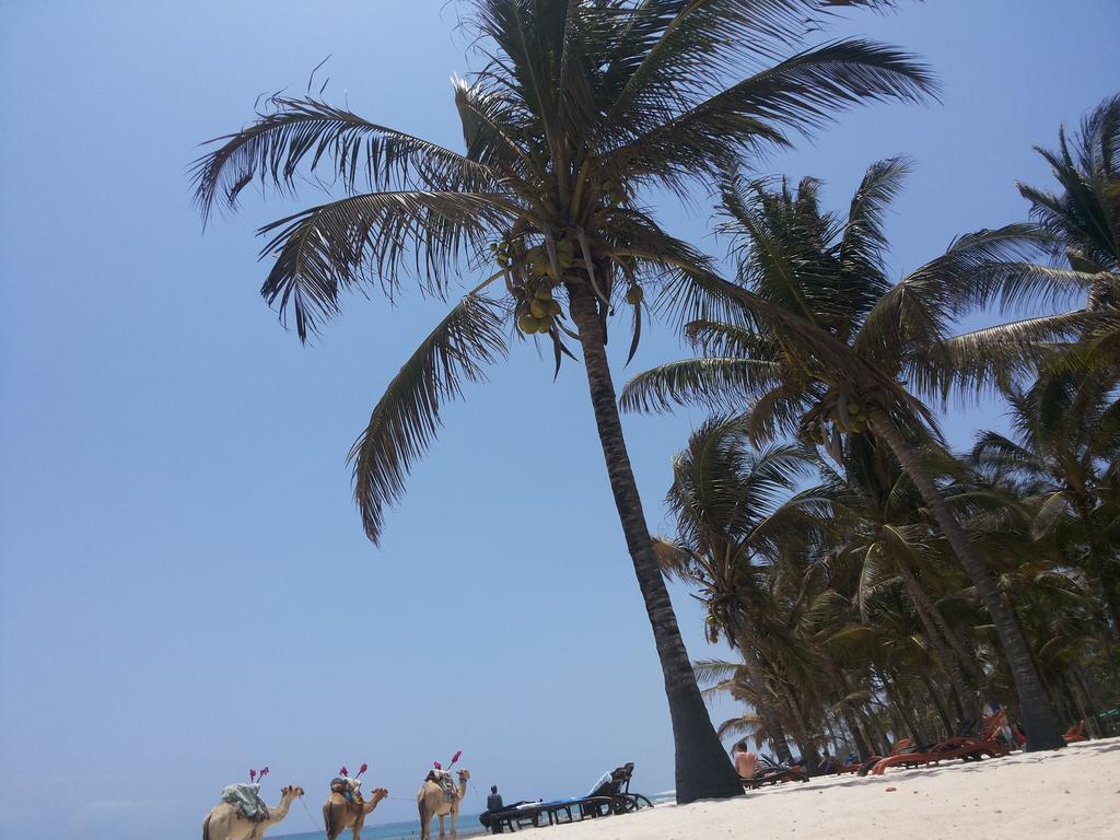 Amani Tiwi Beach Resort Exterior photo